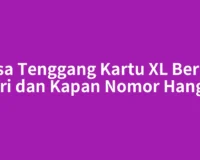 Masa Tenggang Kartu XL Berapa Hari dan Kapan Nomor Hangus