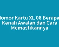 Nomor Kartu XL 08 Berapa? Kenali Awalan dan Cara Memastikannya