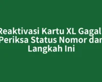 Reaktivasi Kartu XL Gagal? Periksa Status Nomor dan Langkah Ini