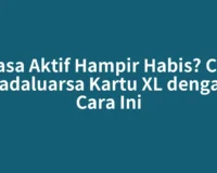 Masa Aktif Hampir Habis? Cek Kadaluarsa Kartu XL dengan Cara Ini
