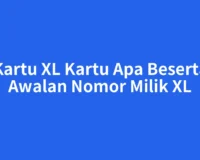 Kartu XL Kartu Apa Beserta Awalan Nomor Milik XL