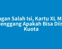 Jangan Salah Isi, Kartu XL Masa Tenggang Apakah Bisa Diisi Kuota