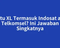 Kartu XL Termasuk Indosat atau Telkomsel? Ini Jawaban Singkatnya