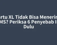 Kartu XL Tidak Bisa Menerima SMS? Periksa 6 Penyebab Ini Dulu